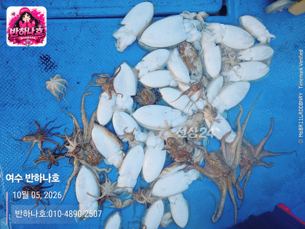 20261005_173617_제목-여수 반하나호_반하나호-010-4890-2507.jpg
