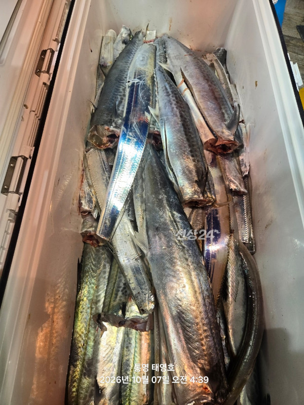 KakaoTalk_20261007_044540424_13.jpg