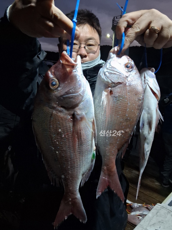 1004피싱_사진_20261029_3.jpg