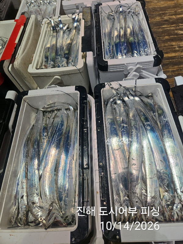KakaoTalk_20261014_043827989_16.jpg