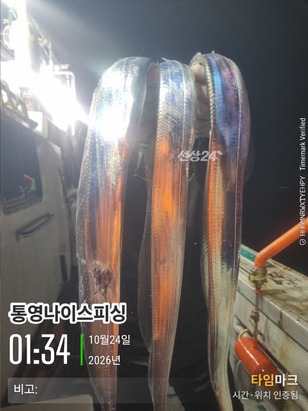 20261024_013411_글꼴-통영나이스피싱.jpg