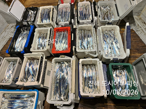 KakaoTalk_20261008_051056035_07.jpg