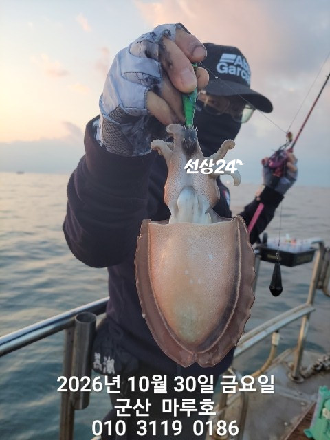 KakaoTalk_20261030_163940516_14.jpg