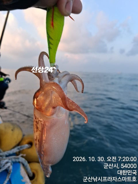 KakaoTalk_20261030_082442401_11.jpg