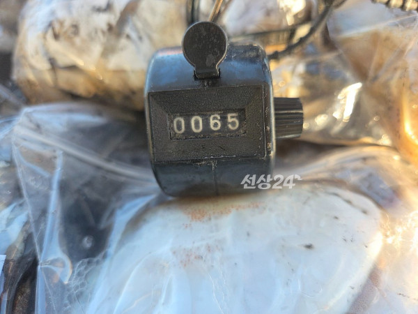 25243.jpg