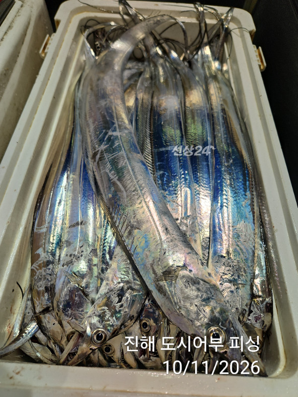 KakaoTalk_20261011_050252101_16.jpg