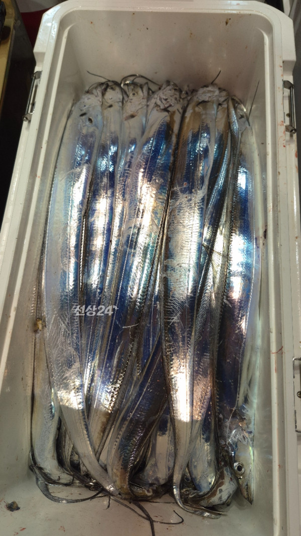 1004피싱_사진_20261001_5.jpg