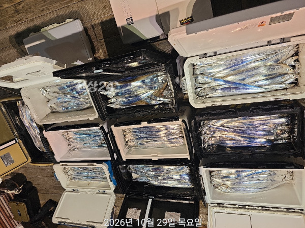 8CDBB90C-ABB1-4017-B59C-9D07B4209C99.jpeg