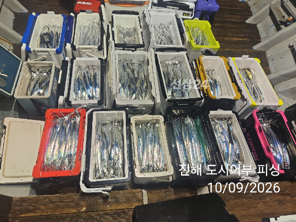 KakaoTalk_20261009_063157918_06.jpg