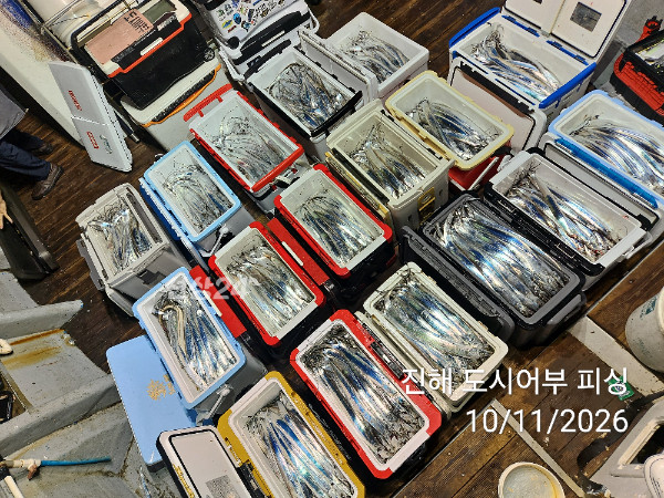 KakaoTalk_20261011_050252101_10.jpg