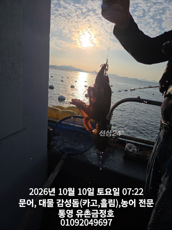 1000062392.jpg