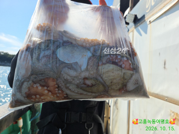 쎄븐피싱클럽(선상 버스출조전문)_사진_20261016_8.jpg