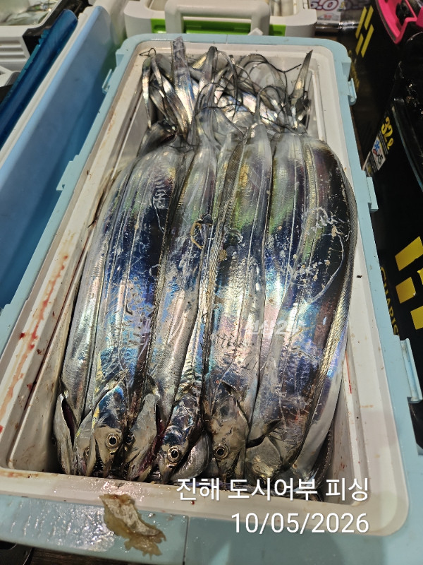 KakaoTalk_20261005_051530639_15.jpg