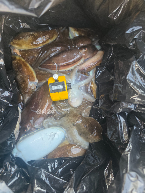 4739.jpg