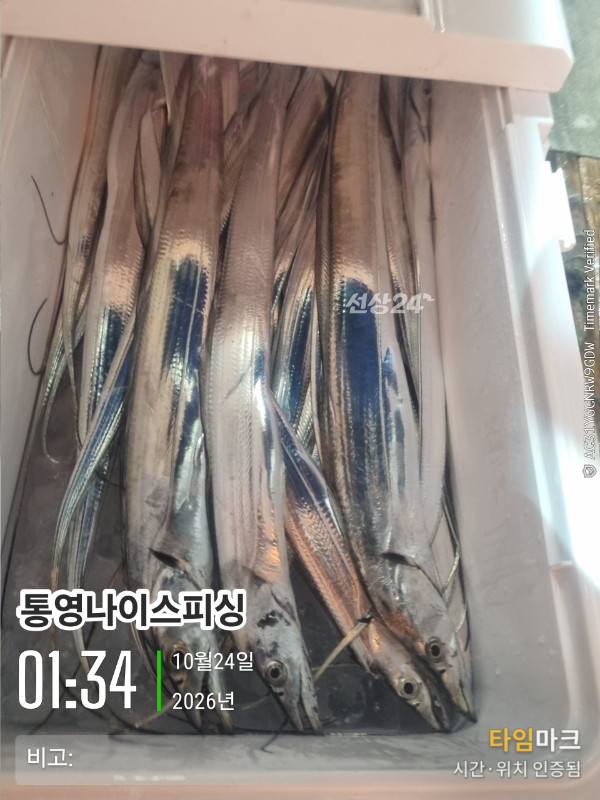 20261024_013422_글꼴-통영나이스피싱.jpg