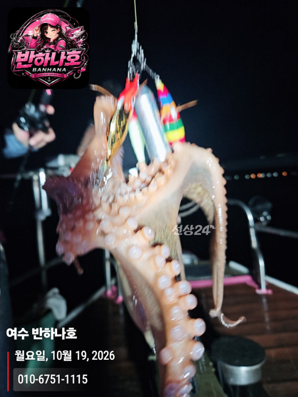 20261019_060325_제목-여수 반하나호_010-6751-1115.jpg