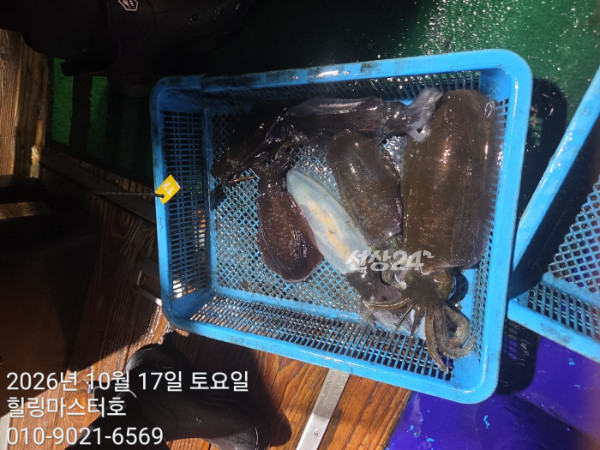 KakaoTalk_20261017_033707364_02.jpg