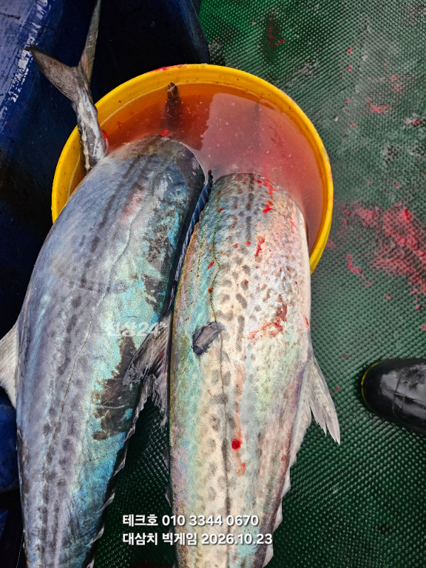 KakaoTalk_20261023_074819964_07.jpg