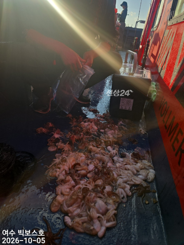 FBC9CF0C-9366-4592-B7C2-65D0D205B1E2.jpeg