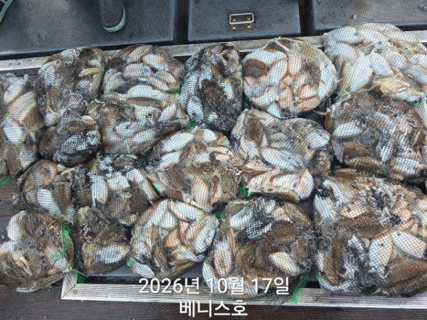 KakaoTalk_20261017_161012995_01.jpg