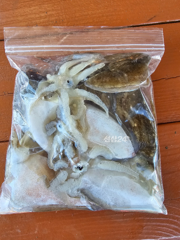 1000114334.jpg