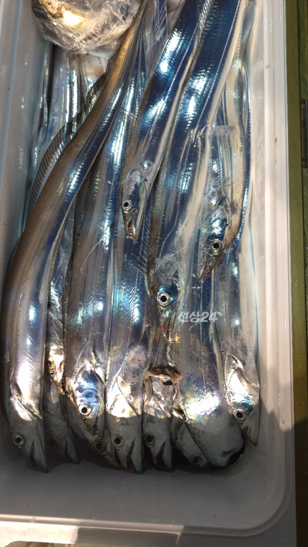 1004피싱_사진_20261020_19.jpg