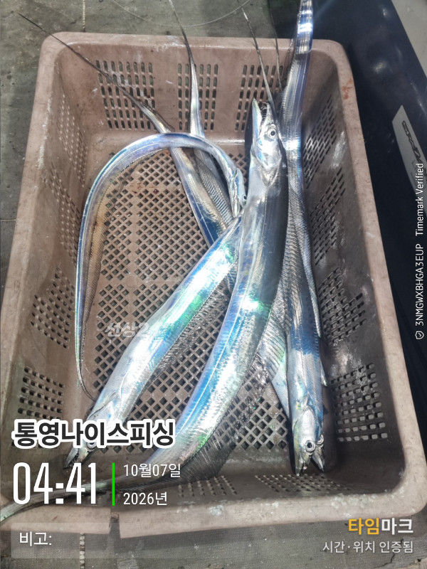 20261007_044134_글꼴-통영나이스피싱.jpg