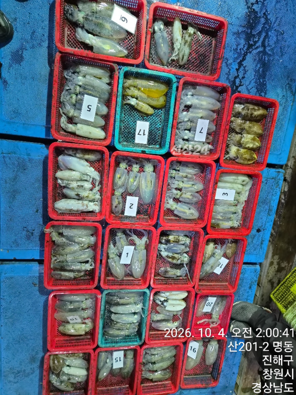 44689.jpg