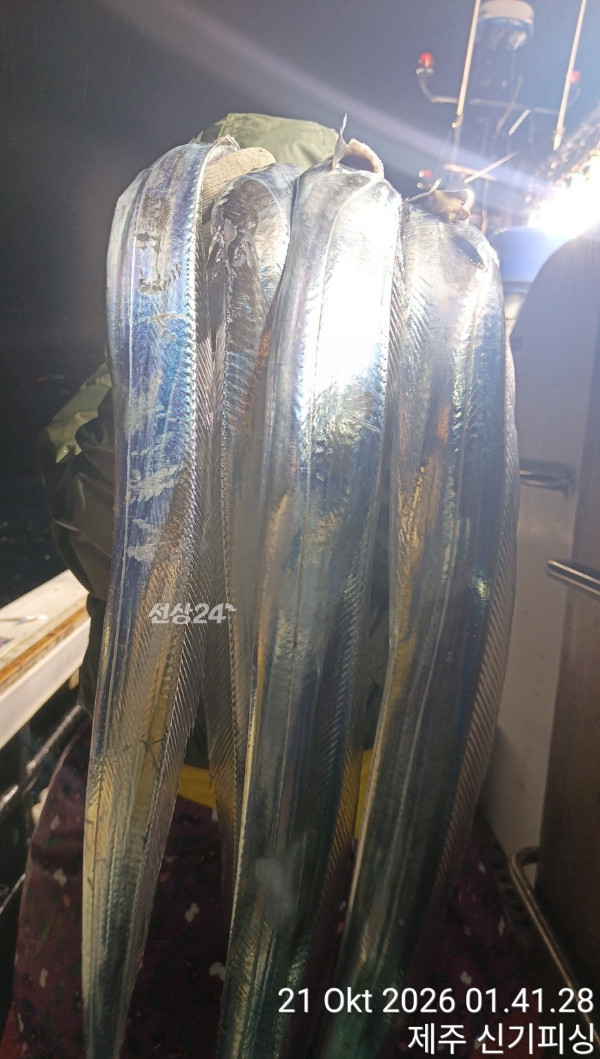 KakaoTalk_20261021_173934356_06.jpg