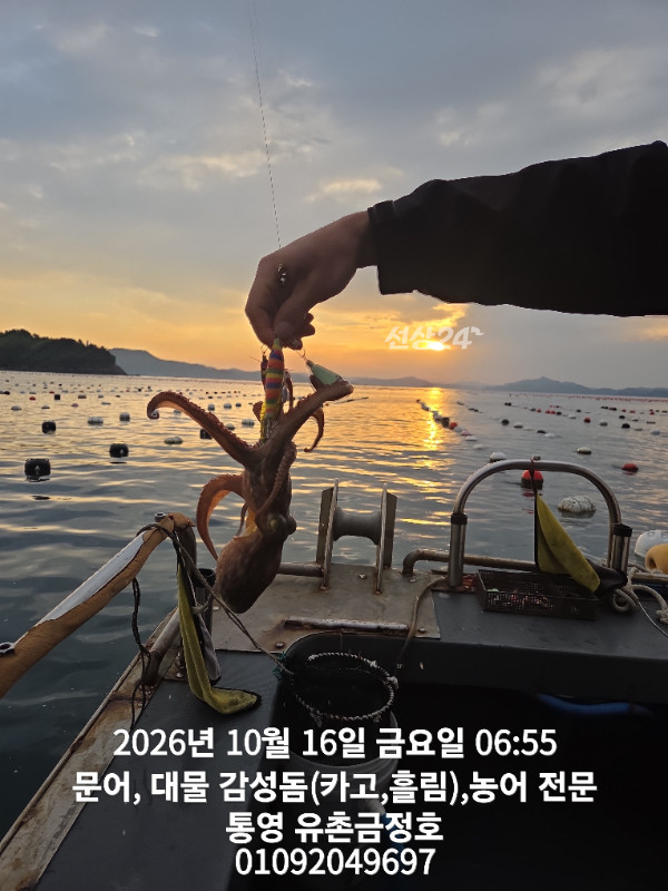 1000062673.jpg