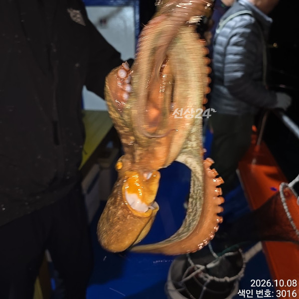 1000018072.jpg