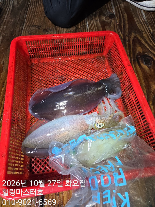 KakaoTalk_20261027_031523670.jpg