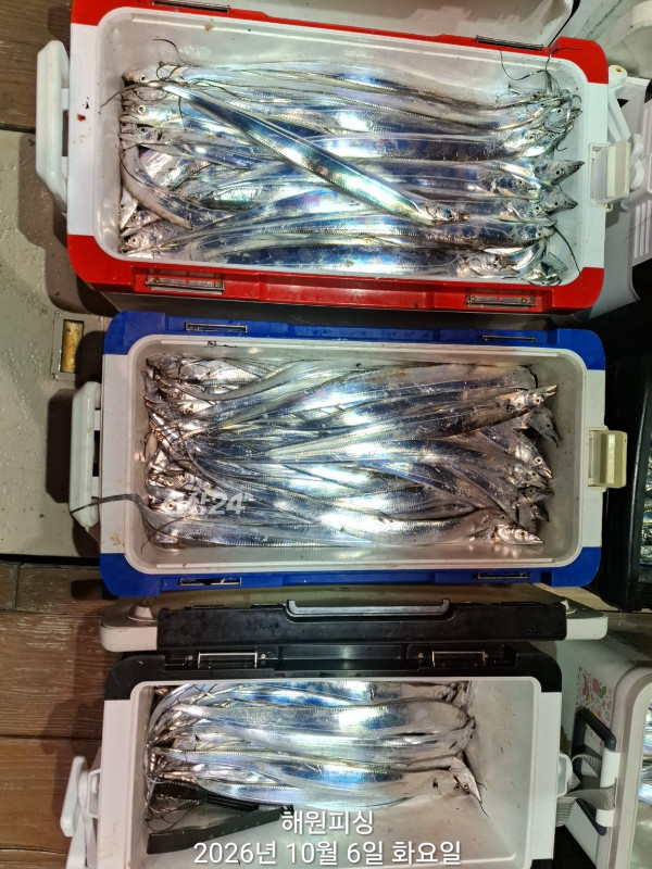 1000037224.jpg