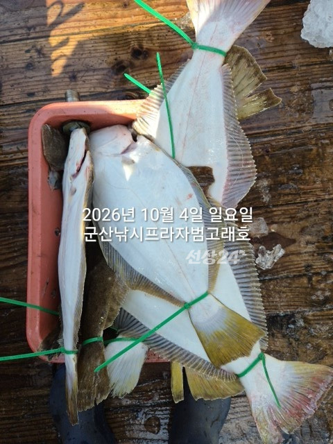 KakaoTalk_20261004_155855857_06.jpg
