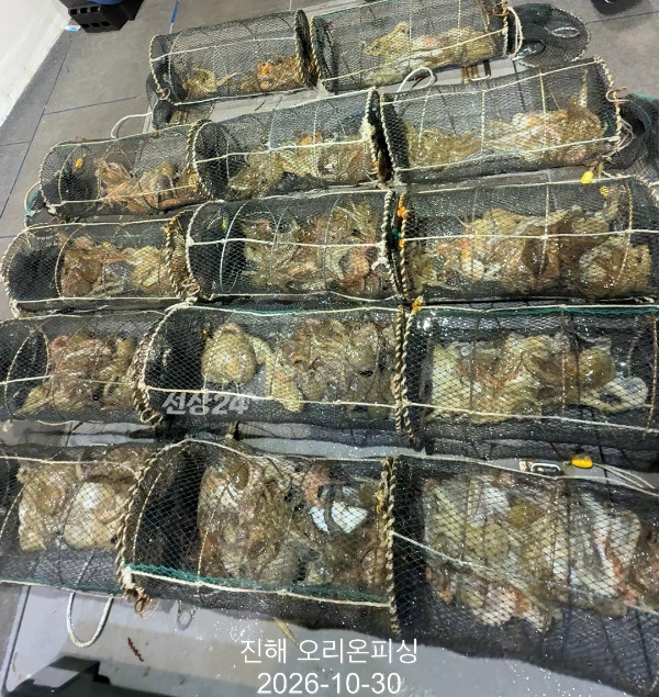 KakaoTalk_20261030_034708425_14.jpg