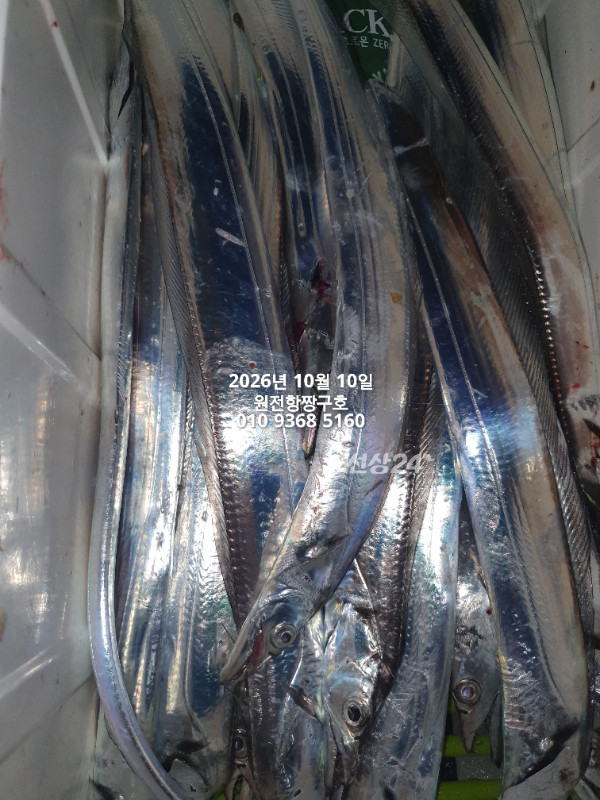 KakaoTalk_20261010_060125117_16.jpg