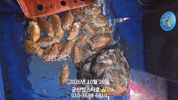 KakaoTalk_20261026_174340590_03.jpg