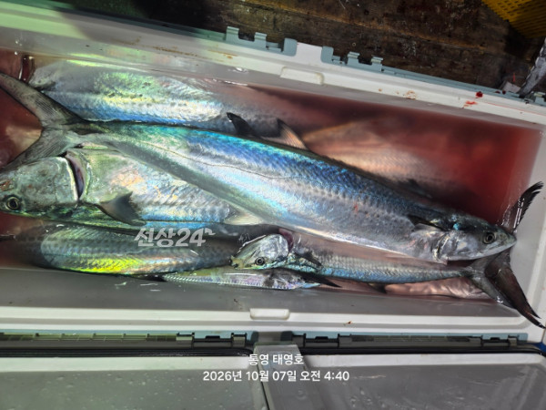 KakaoTalk_20261007_044540424_05.jpg
