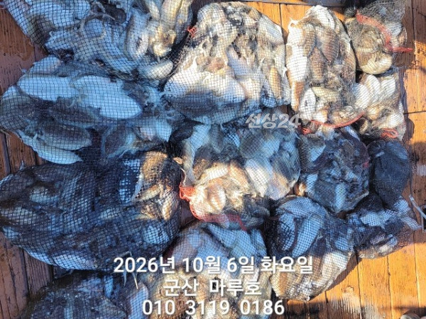 1000014972.jpg