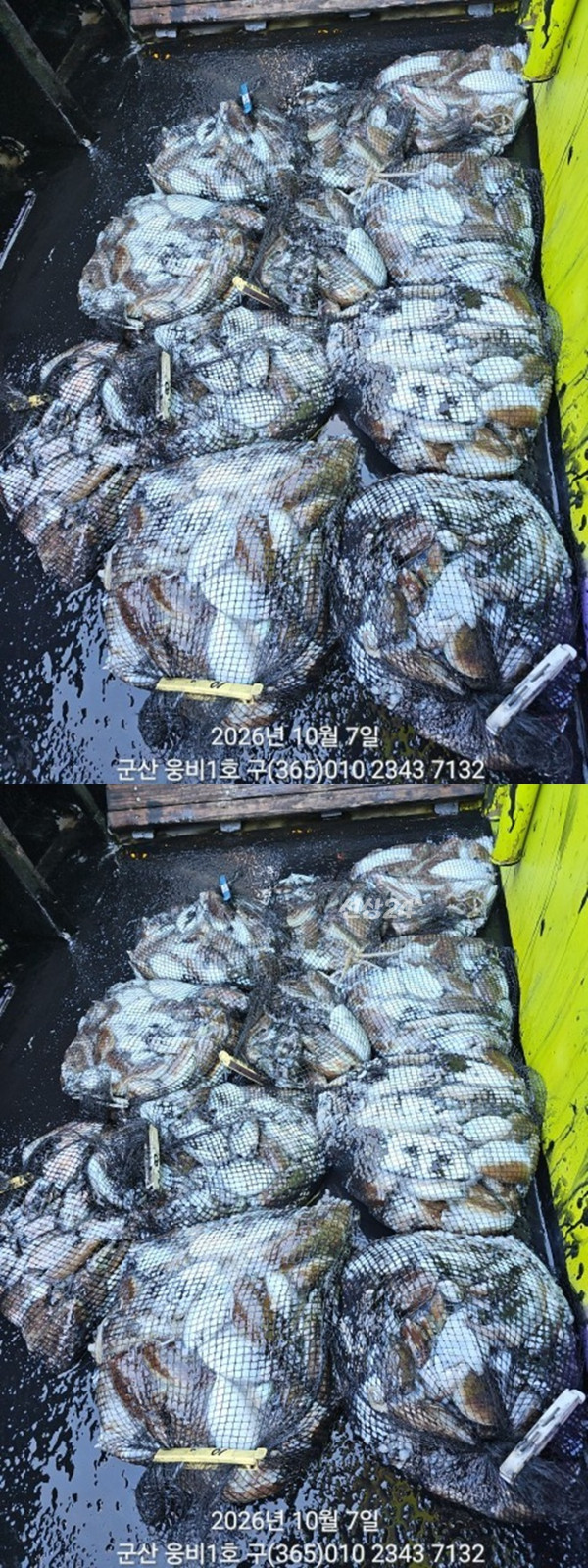 KakaoTalk_20261007_161948795_01-vert11111111.jpg