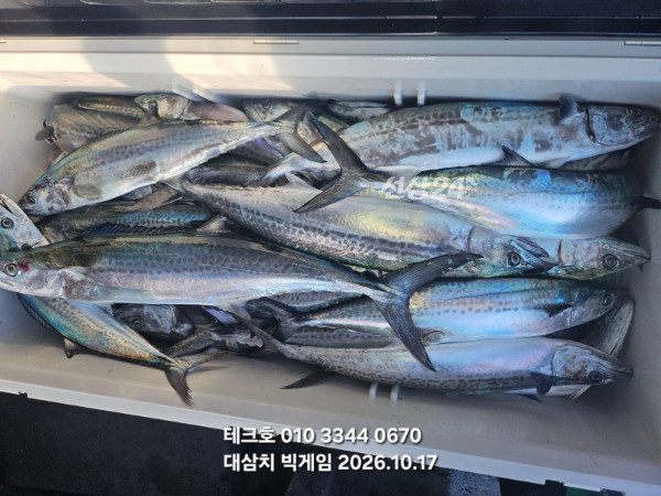 KakaoTalk_20261018_090530416_23.jpg