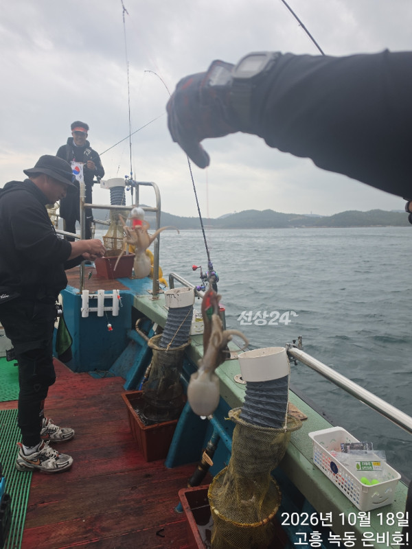 고흥 녹동 은비호!(두족류,돌돔,외수질)_사진_20261019_9.jpg