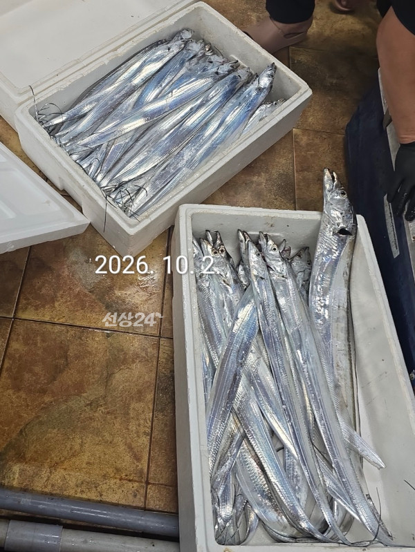 B0F9A182-7C50-4B8A-8B7A-3F6F46C8A5A5.jpeg