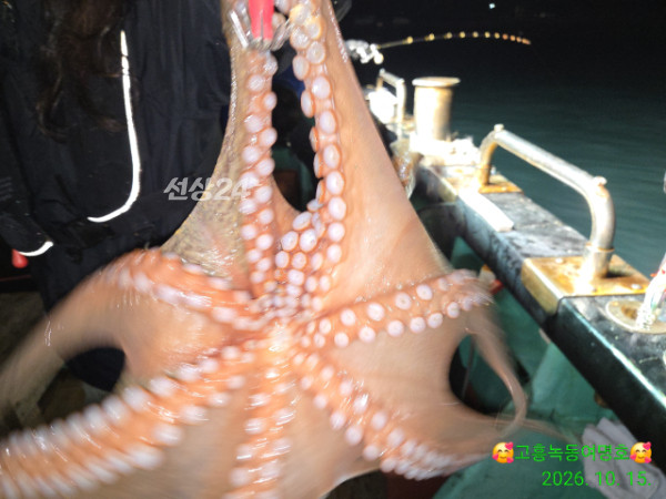 쎄븐피싱클럽(선상 버스출조전문)_사진_20261016_15.jpg
