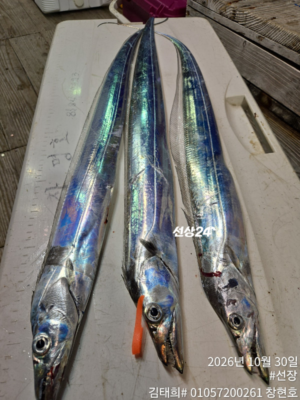 27918.jpg