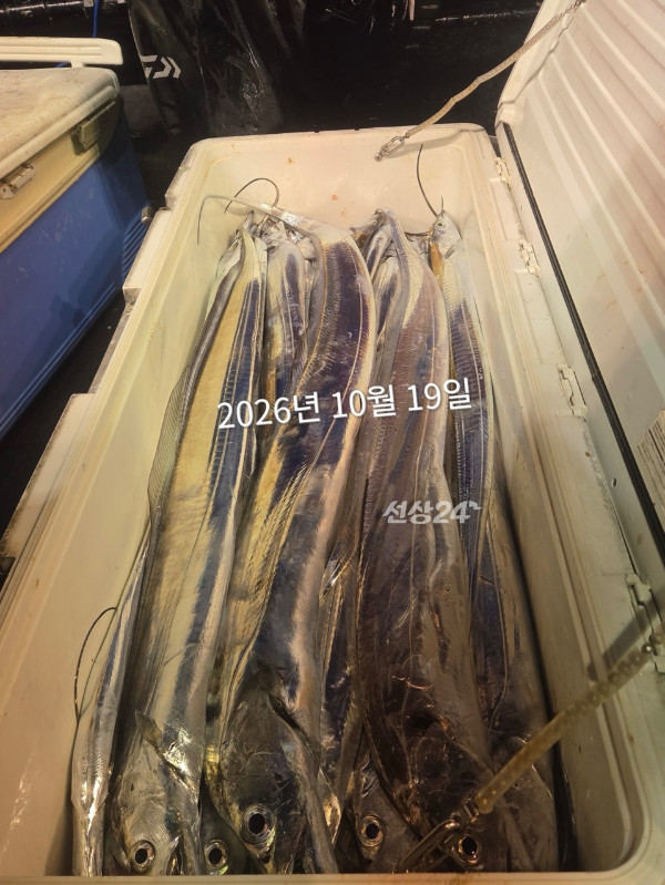 B0C17660-BF28-48AC-8771-CF7FAD39CACD.jpeg