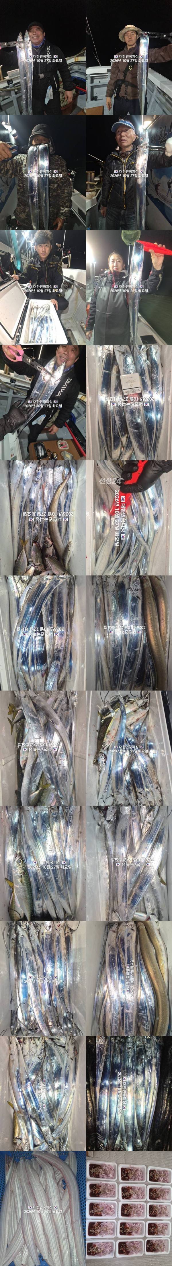 갈치1.jpg