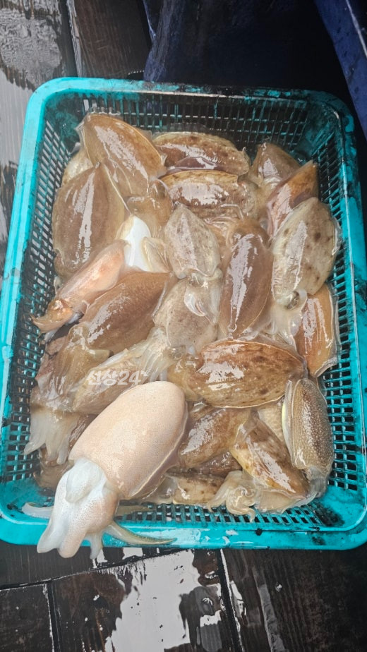 KakaoTalk_20261016_185211860_01.jpg