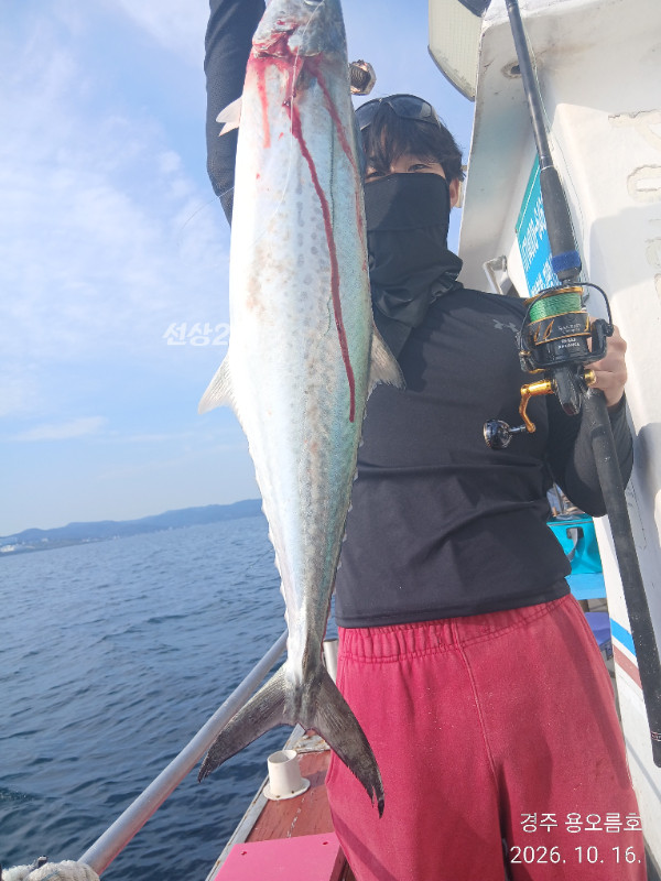 KakaoTalk_20261016_180308715_17.jpg