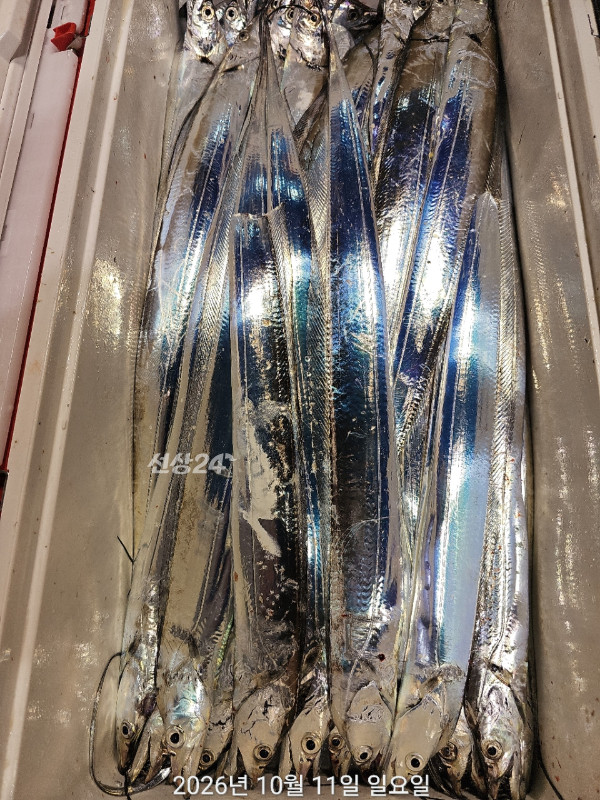 FF3B38EC-651F-4759-A1C5-6E9DF8D44DEB.jpeg